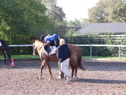 IMG_7208_web